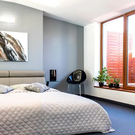 Mlynska 8 Apartament Z Prywatnym Basenem Bielsko-Biała Esterno foto